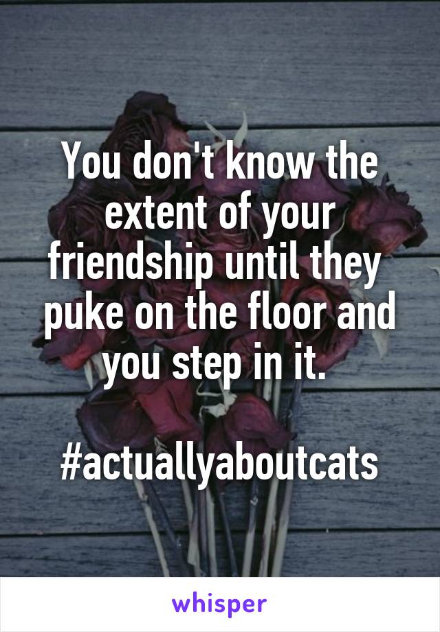 You don't know the extent of your friendship until they  puke on the floor and you step in it. 

#actuallyaboutcats