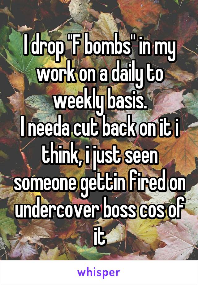 I drop "F bombs" in my work on a daily to weekly basis.
I needa cut back on it i think, i just seen someone gettin fired on undercover boss cos of it