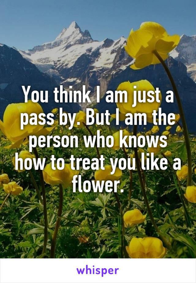 You think I am just a pass by. But I am the person who knows how to treat you like a flower.
