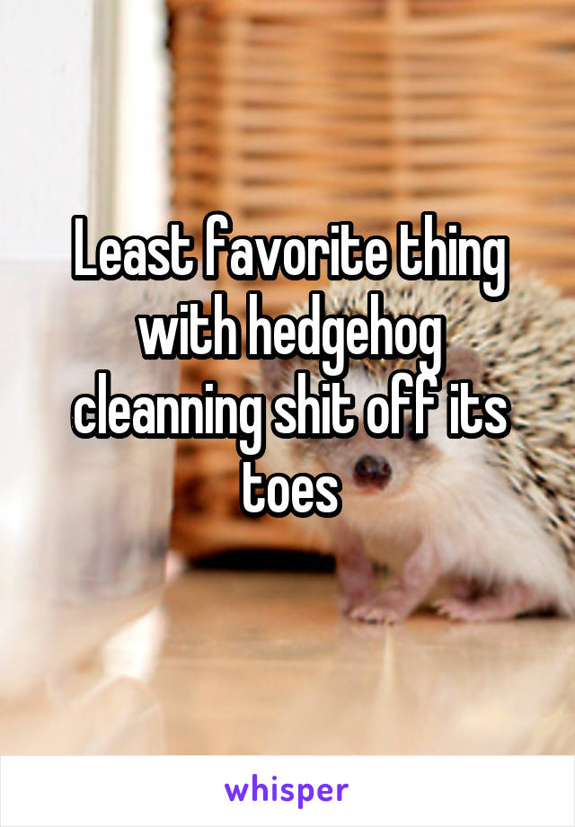 Least favorite thing with hedgehog cleanning shit off its toes

