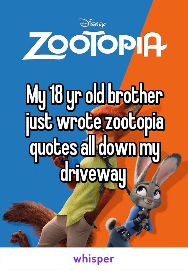 My 18 yr old brother just wrote zootopia quotes all down my driveway 
