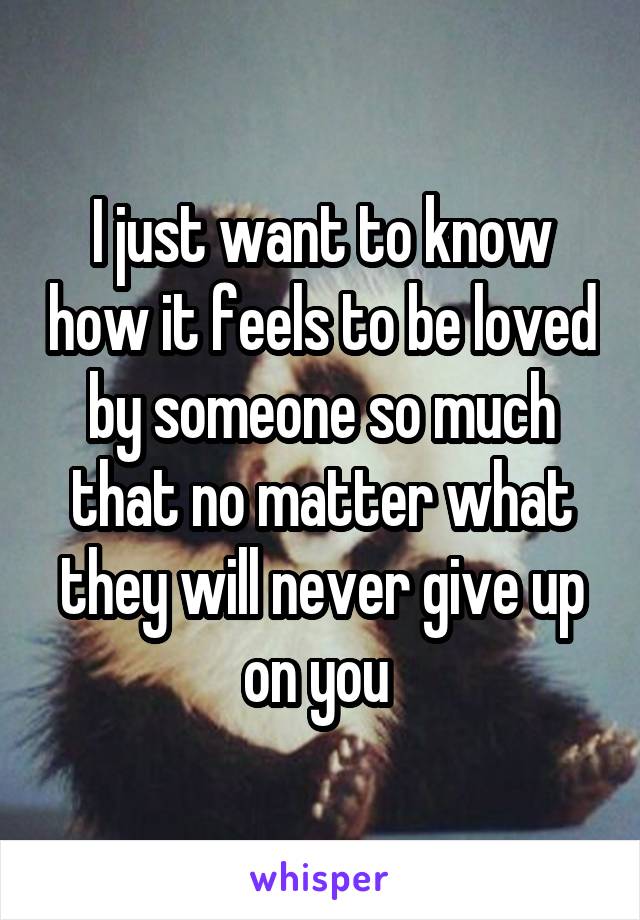 I just want to know how it feels to be loved by someone so much that no matter what they will never give up on you 