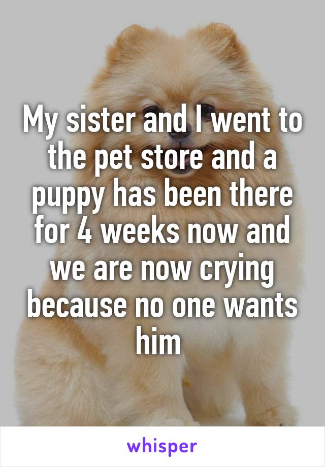 My sister and I went to the pet store and a puppy has been there for 4 weeks now and we are now crying because no one wants him 