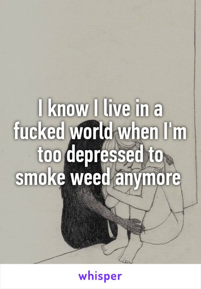 I know I live in a fucked world when I'm too depressed to smoke weed anymore 