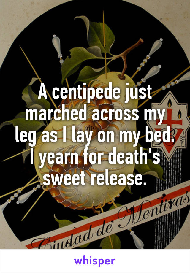A centipede just marched across my leg as I lay on my bed. I yearn for death's sweet release.