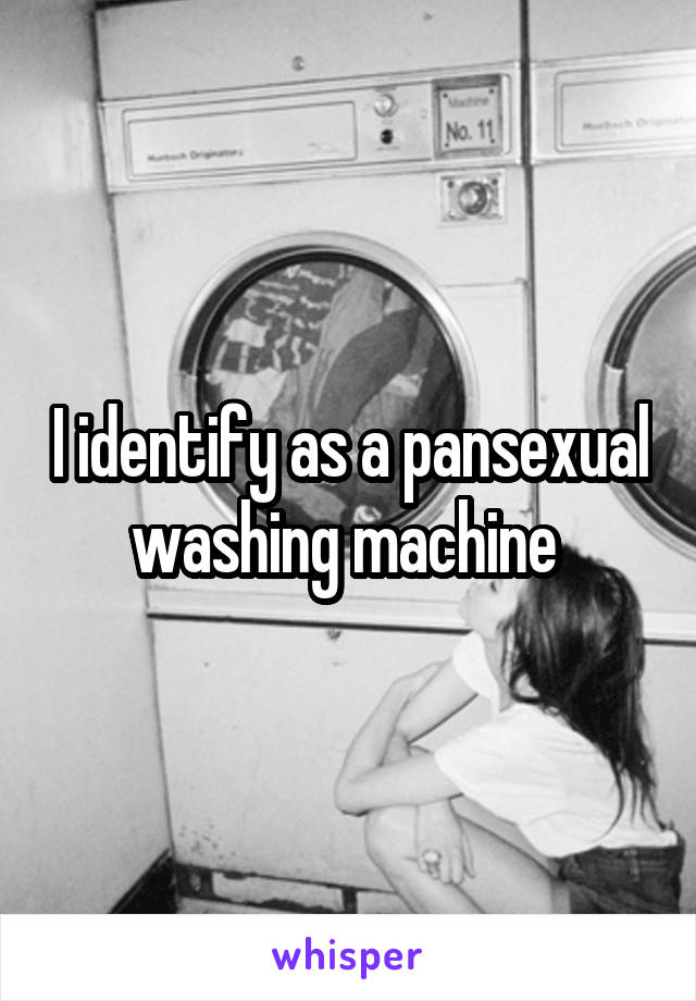 I identify as a pansexual washing machine 