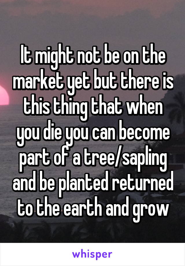 It might not be on the market yet but there is this thing that when you die you can become part of a tree/sapling and be planted returned to the earth and grow