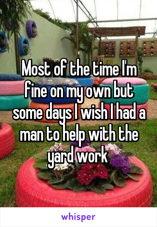 Most of the time I'm fine on my own but some days I wish I had a man to help with the yard work 