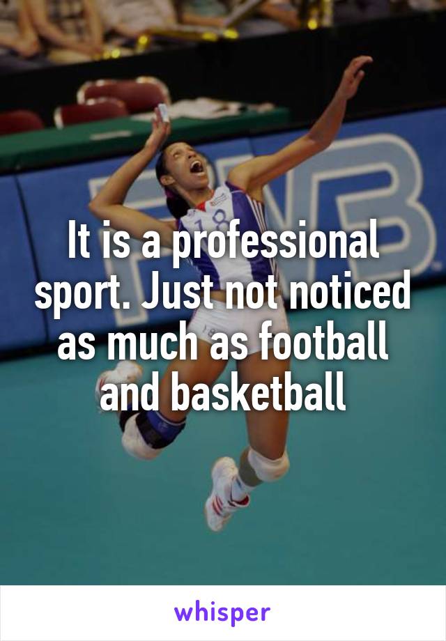 It is a professional sport. Just not noticed as much as football and basketball