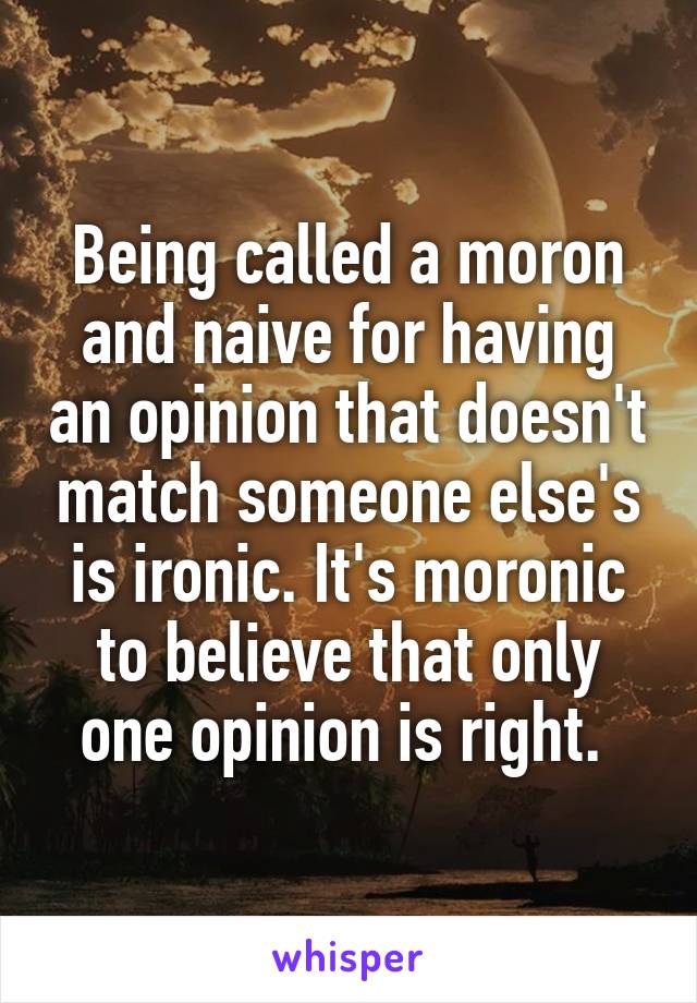 Being called a moron and naive for having an opinion that doesn't match someone else's is ironic. It's moronic to believe that only one opinion is right. 