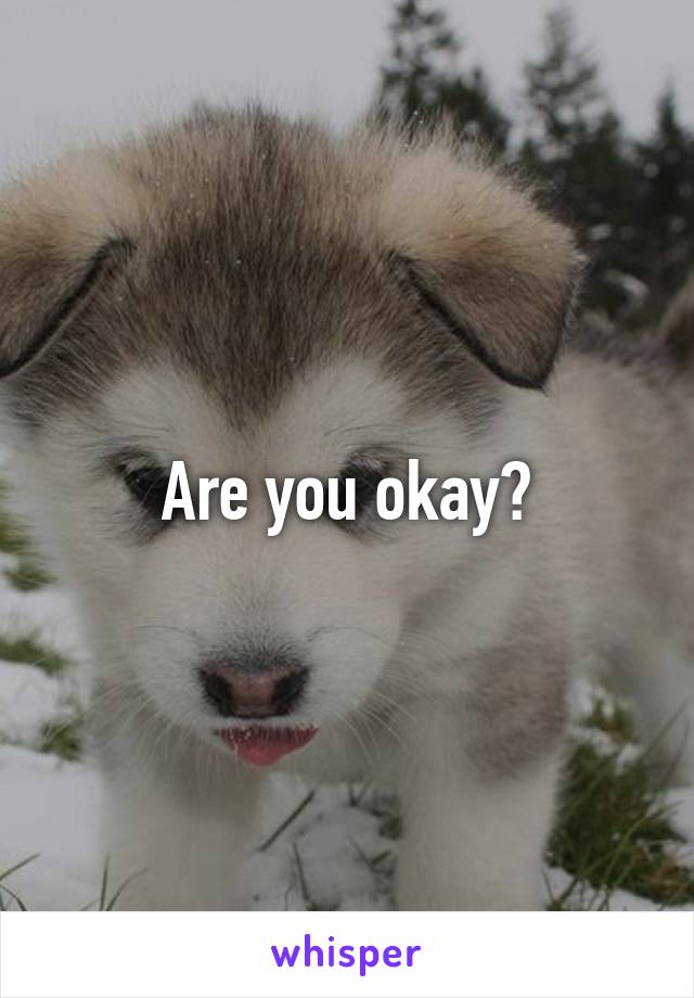 Are you okay?