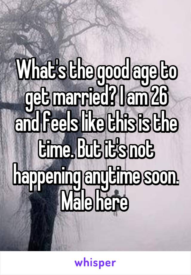 What's the good age to get married? I am 26 and feels like this is the time. But it's not happening anytime soon.
Male here 