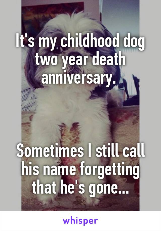 It's my childhood dog two year death anniversary. 



Sometimes I still call his name forgetting that he's gone...