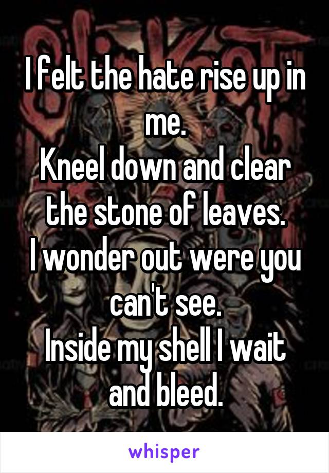 I felt the hate rise up in me.
Kneel down and clear the stone of leaves.
I wonder out were you can't see.
Inside my shell I wait and bleed.