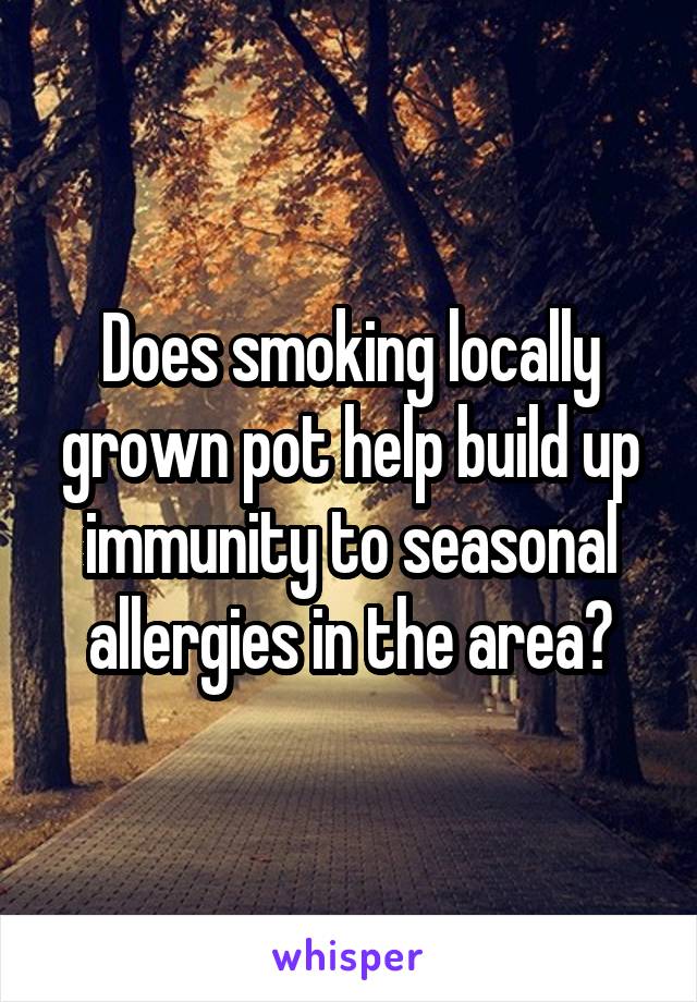 Does smoking locally grown pot help build up immunity to seasonal allergies in the area?