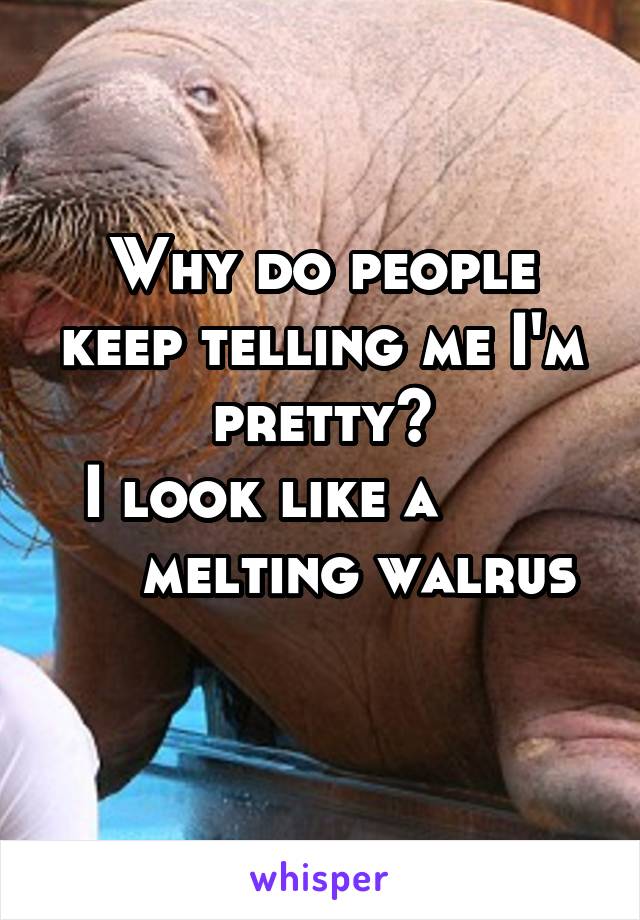 Why do people keep telling me I'm pretty?
 I look like a             melting walrus
