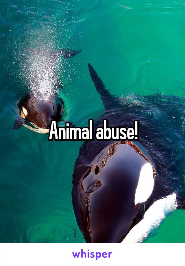 Animal abuse!