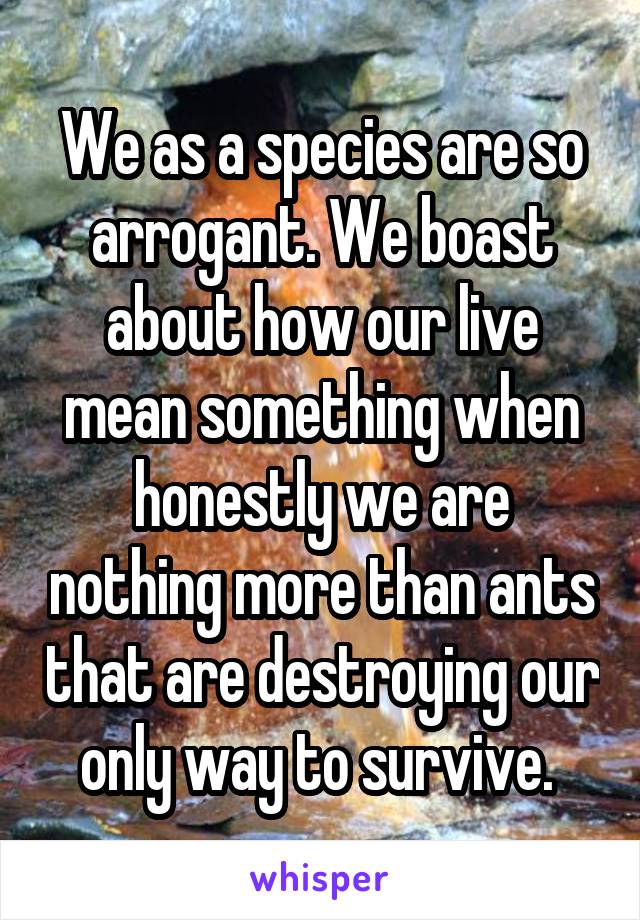 We as a species are so arrogant. We boast about how our live mean something when honestly we are nothing more than ants that are destroying our only way to survive. 