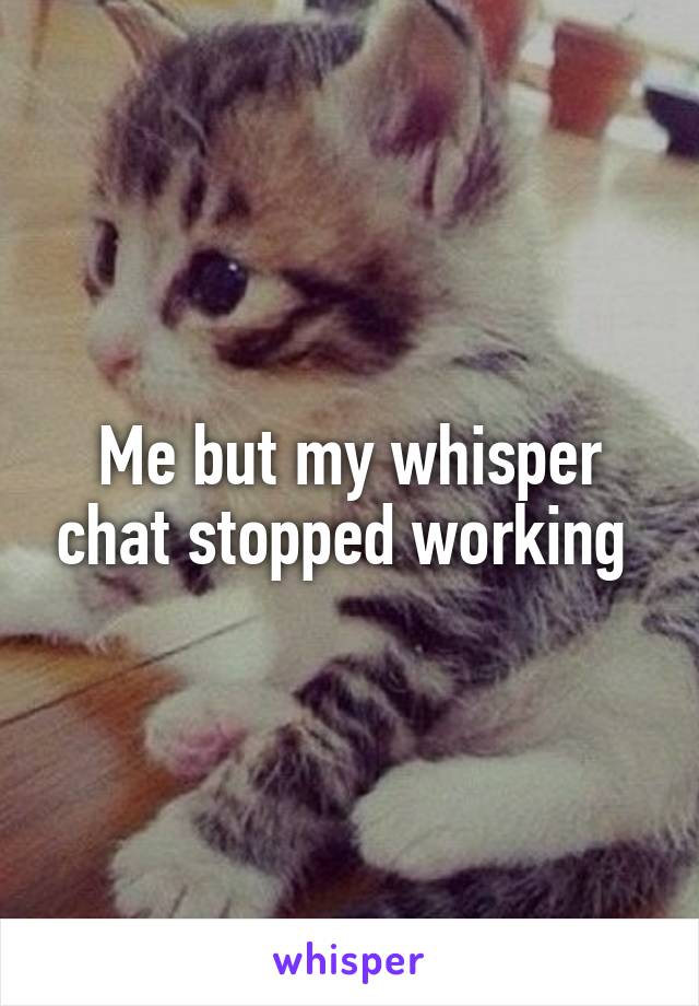 Me but my whisper chat stopped working 