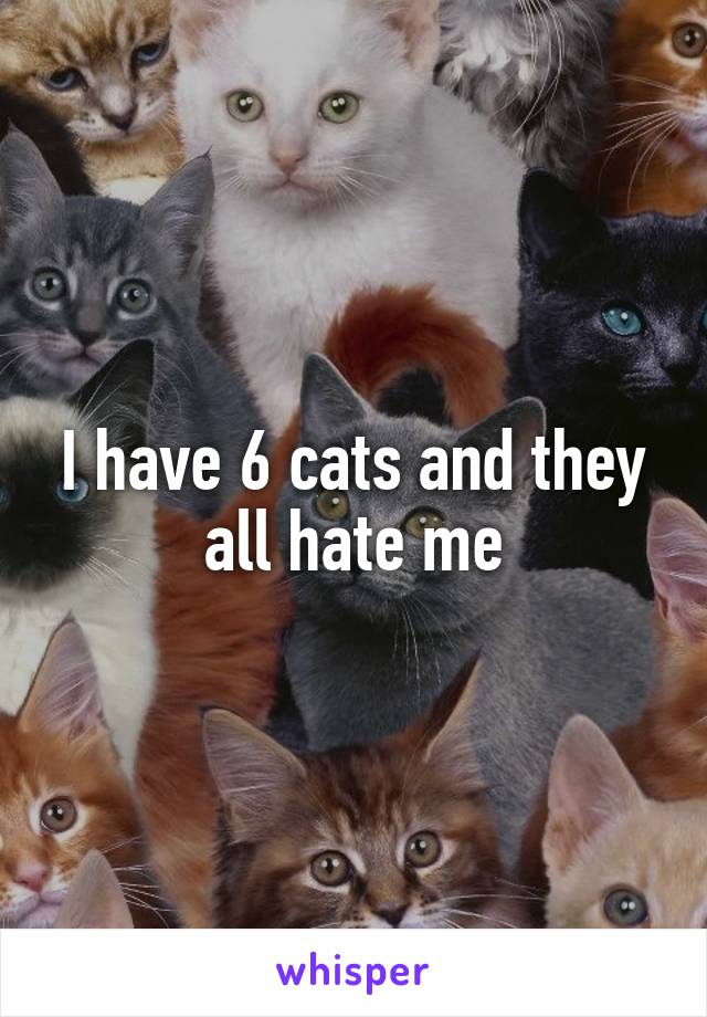 I have 6 cats and they all hate me