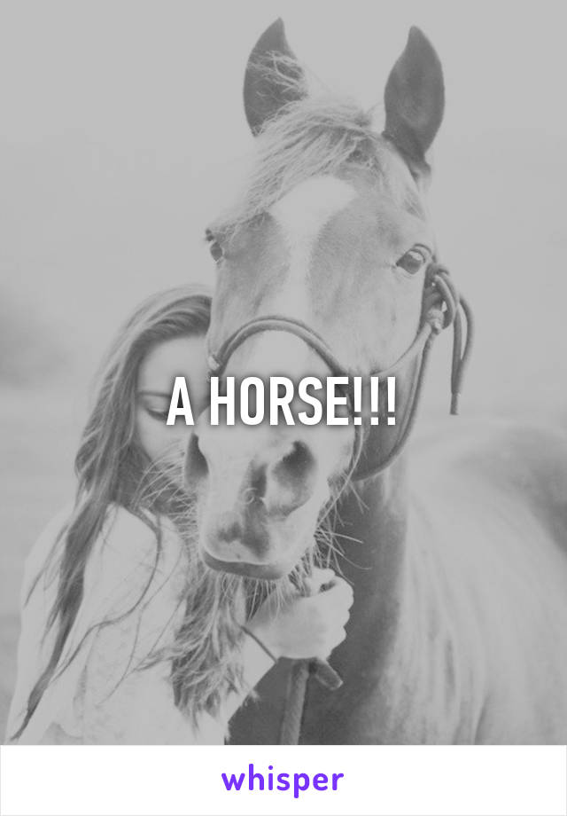 A HORSE!!!