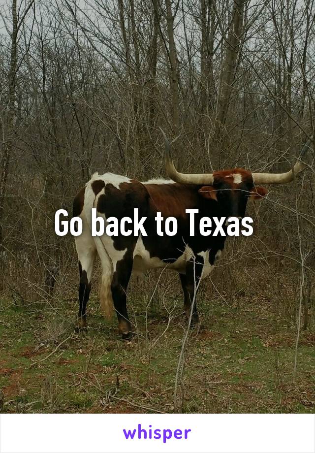 Go back to Texas 