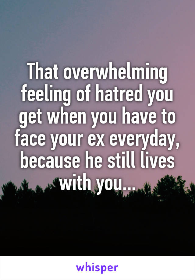 That overwhelming feeling of hatred you get when you have to face your ex everyday, because he still lives with you...
