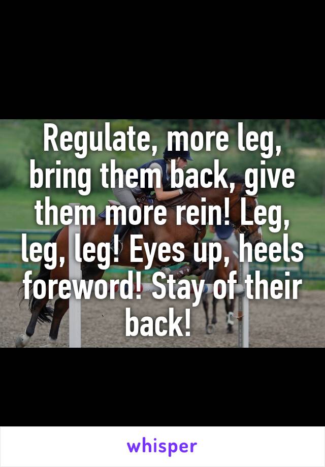 Regulate, more leg, bring them back, give them more rein! Leg, leg, leg! Eyes up, heels foreword! Stay of their back! 