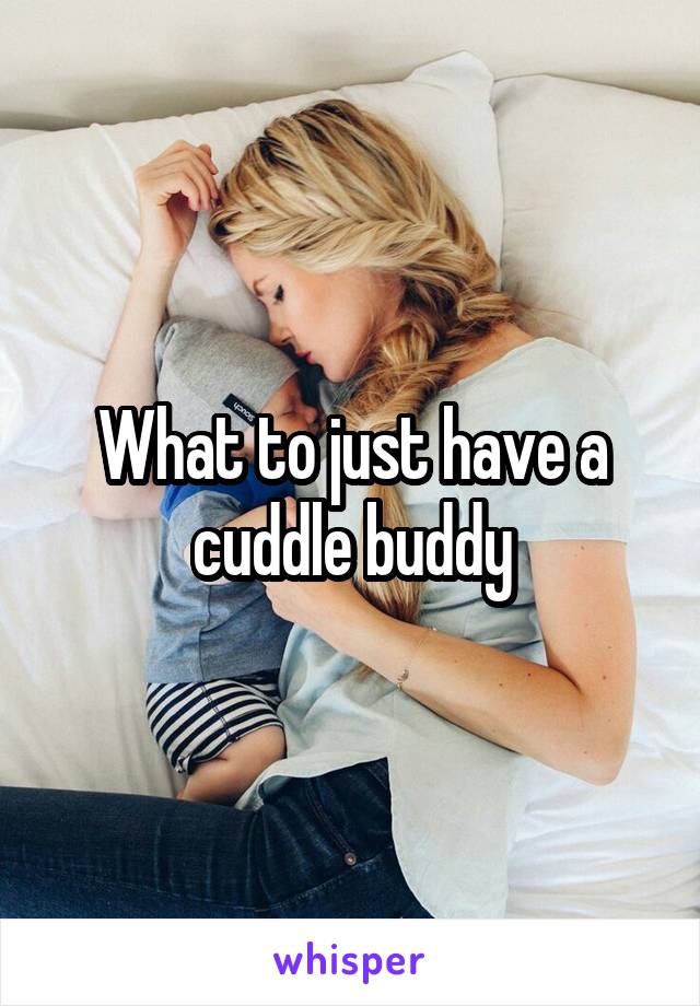 What to just have a cuddle buddy