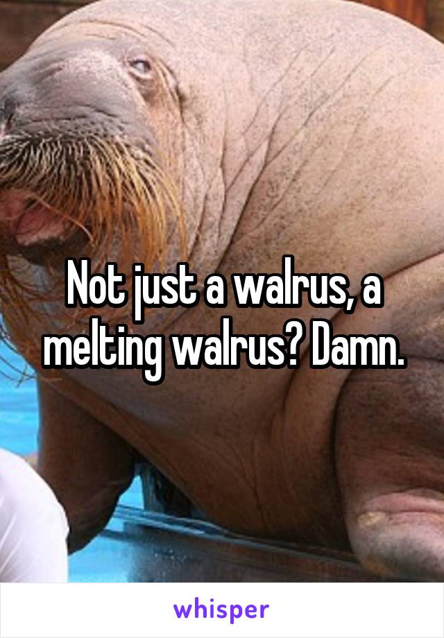 Not just a walrus, a melting walrus? Damn.