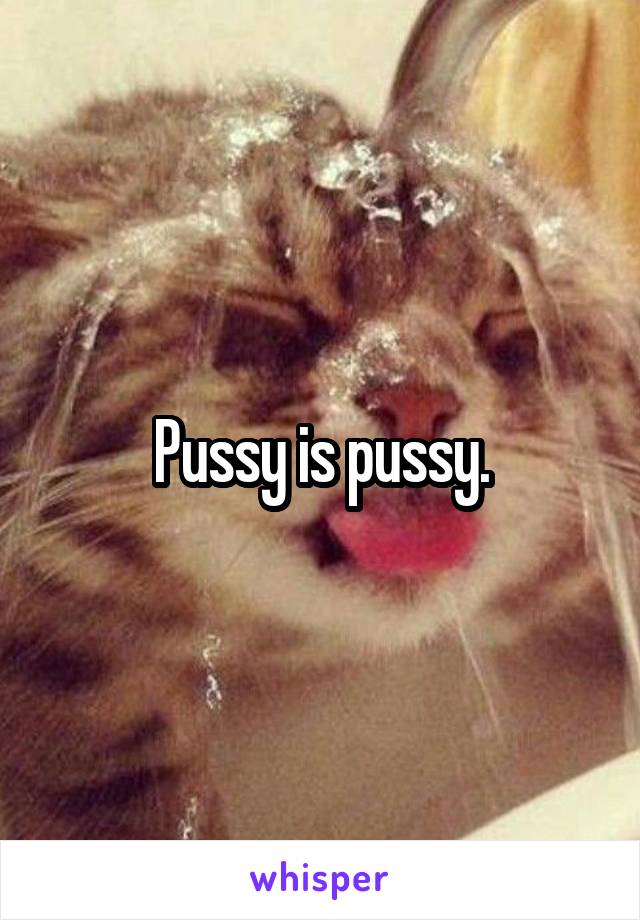 Pussy is pussy.