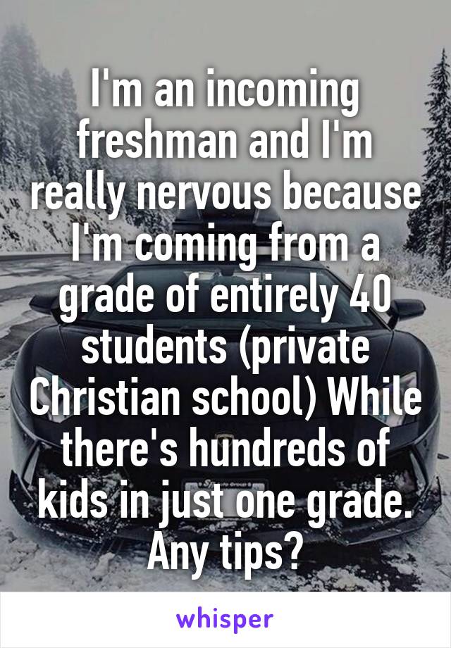 I'm an incoming freshman and I'm really nervous because I'm coming from a grade of entirely 40 students (private Christian school) While there's hundreds of kids in just one grade. Any tips?