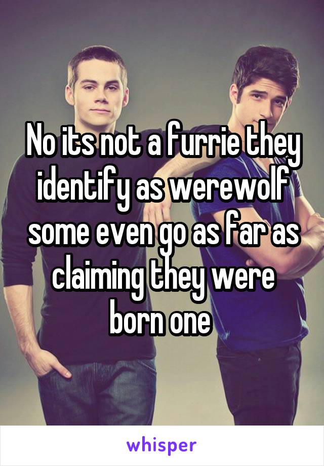 No its not a furrie they identify as werewolf some even go as far as claiming they were born one 