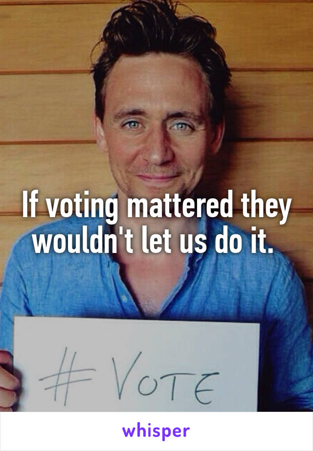 If voting mattered they wouldn't let us do it. 