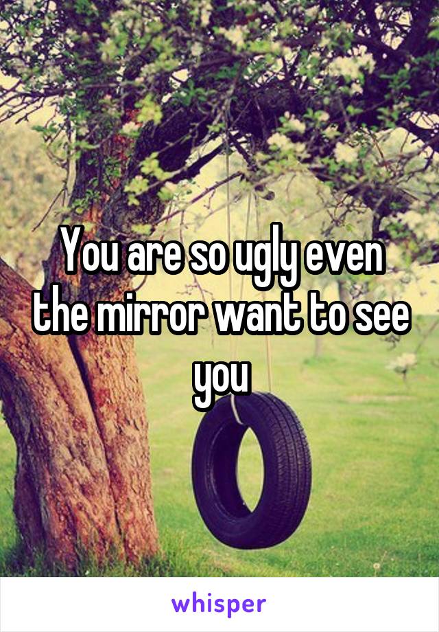 You are so ugly even the mirror want to see you