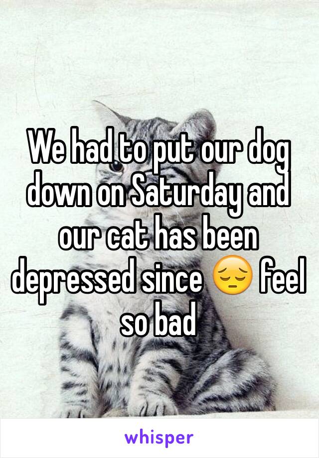 We had to put our dog down on Saturday and our cat has been depressed since 😔 feel so bad