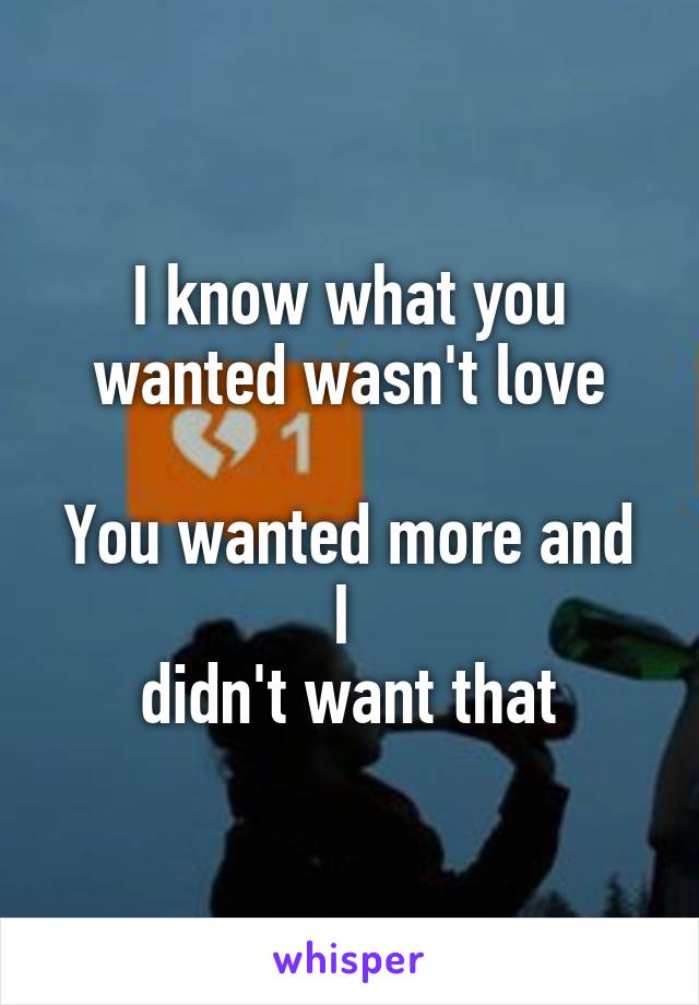 I know what you wanted wasn't love

You wanted more and I 
didn't want that