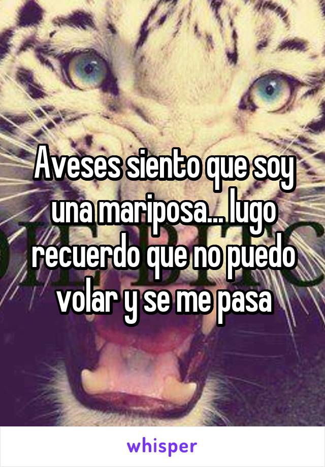 Aveses siento que soy una mariposa... lugo recuerdo que no puedo volar y se me pasa