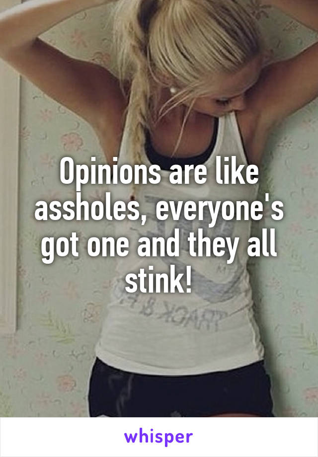 Opinions are like assholes, everyone's got one and they all stink!