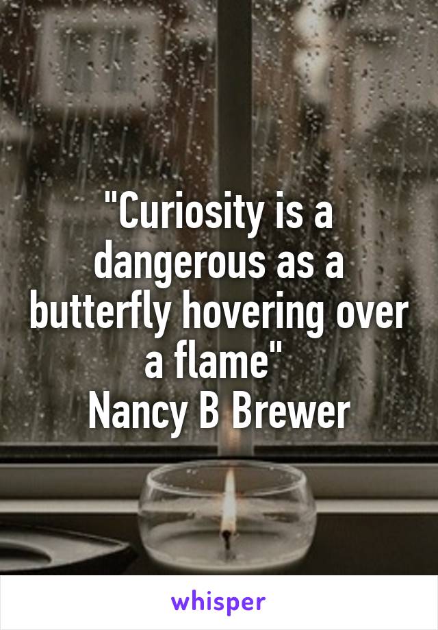 "Curiosity is a dangerous as a butterfly hovering over a flame" 
Nancy B Brewer