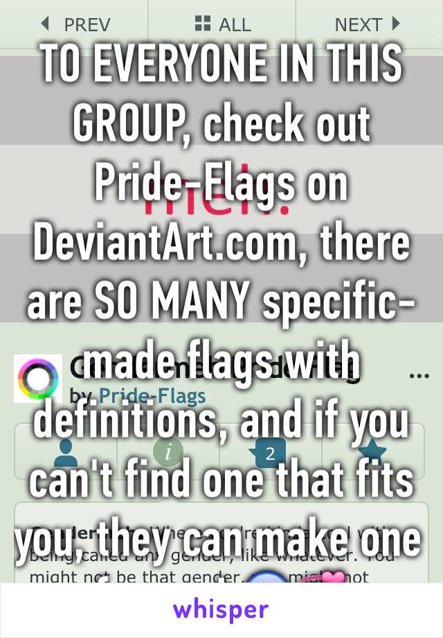 TO EVERYONE IN THIS GROUP, check out Pride-Flags on DeviantArt.com, there are SO MANY specific-made flags with definitions, and if you can't find one that fits you, they can make one for you! 😱💞