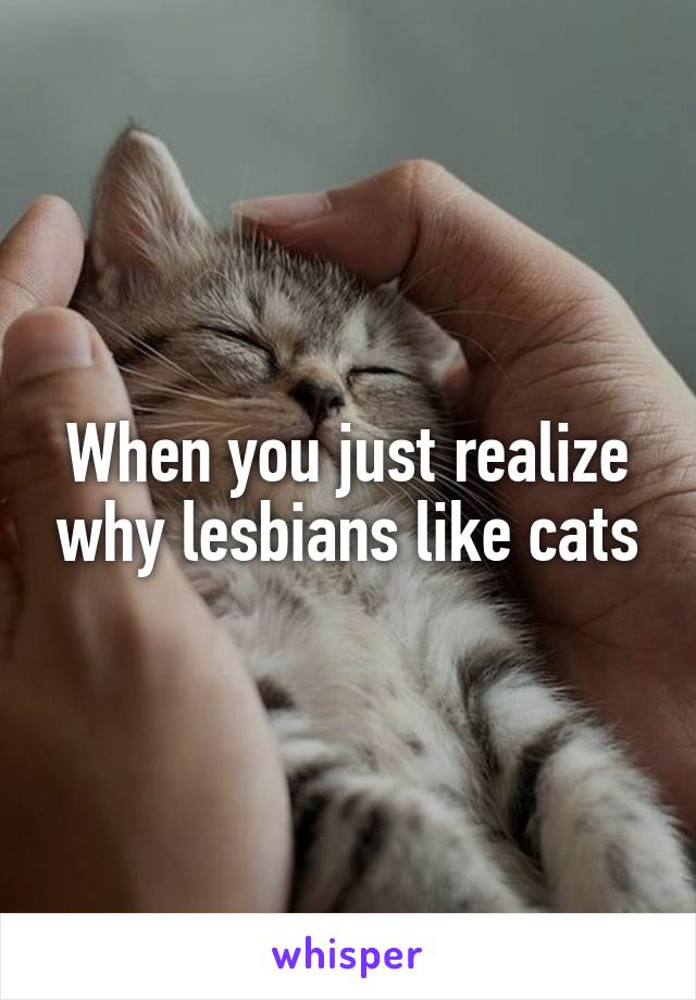 When you just realize why lesbians like cats