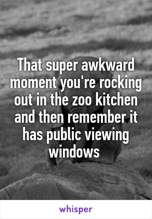 That super awkward moment you're rocking out in the zoo kitchen and then remember it has public viewing windows 