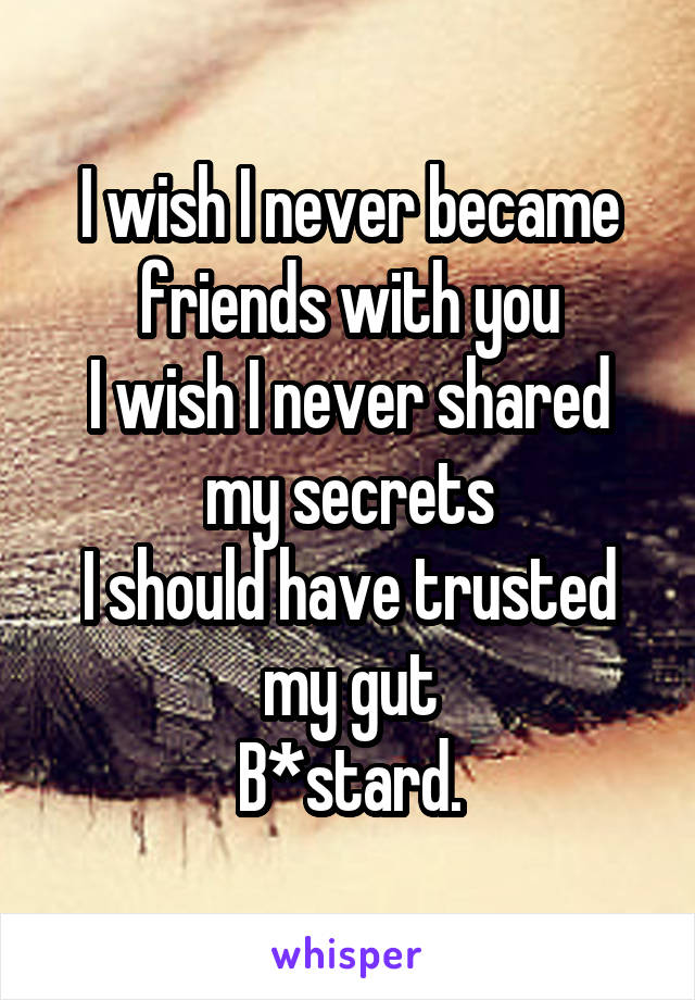 I wish I never became friends with you
I wish I never shared my secrets
I should have trusted my gut
B*stard.