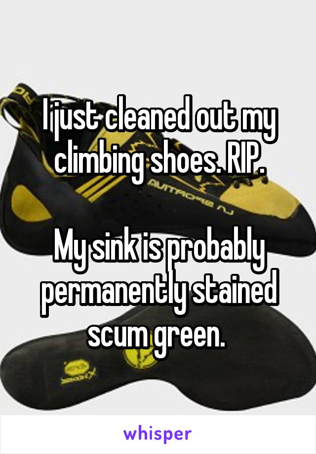 I just cleaned out my climbing shoes. RIP.

My sink is probably permanently stained scum green. 