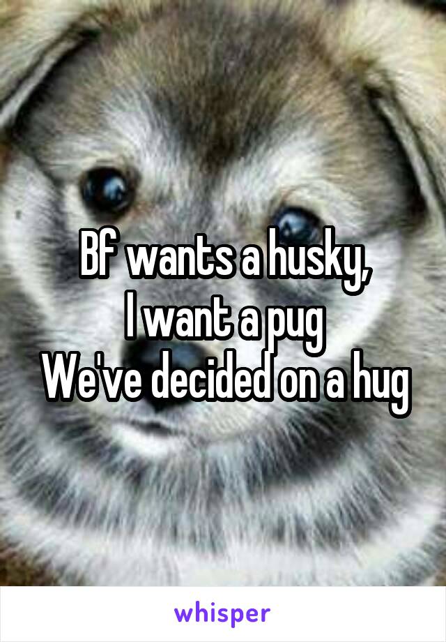 Bf wants a husky,
I want a pug
We've decided on a hug