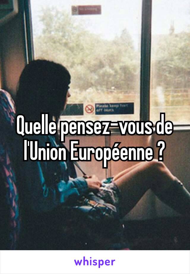 Quelle pensez-vous de l'Union Européenne ?