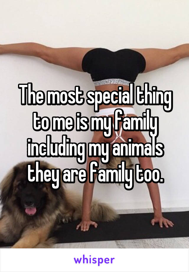 The most special thing to me is my family including my animals they are family too.