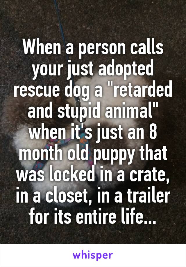 When a person calls your just adopted rescue dog a "retarded and stupid animal" when it's just an 8 month old puppy that was locked in a crate, in a closet, in a trailer for its entire life...