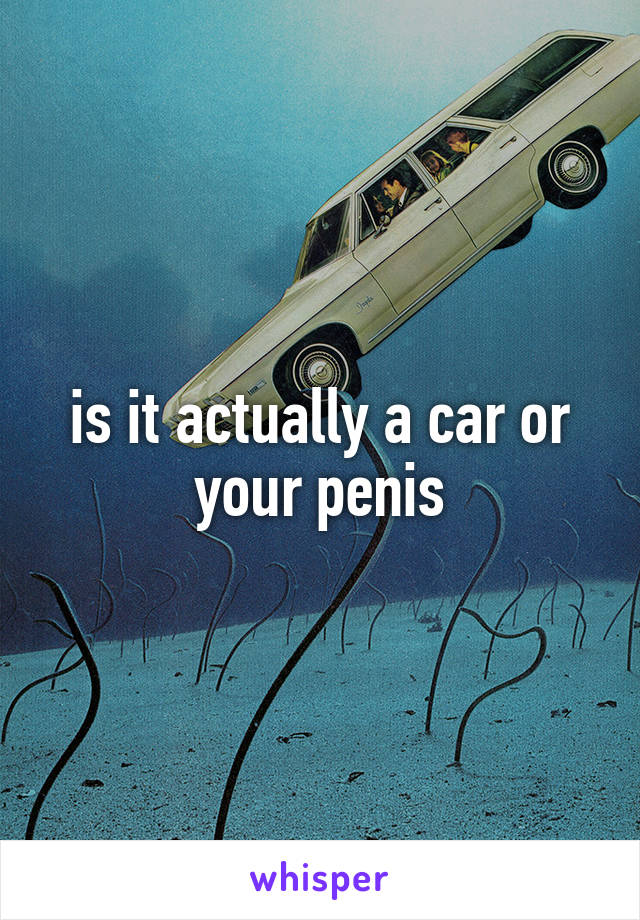 is it actually a car or your penis